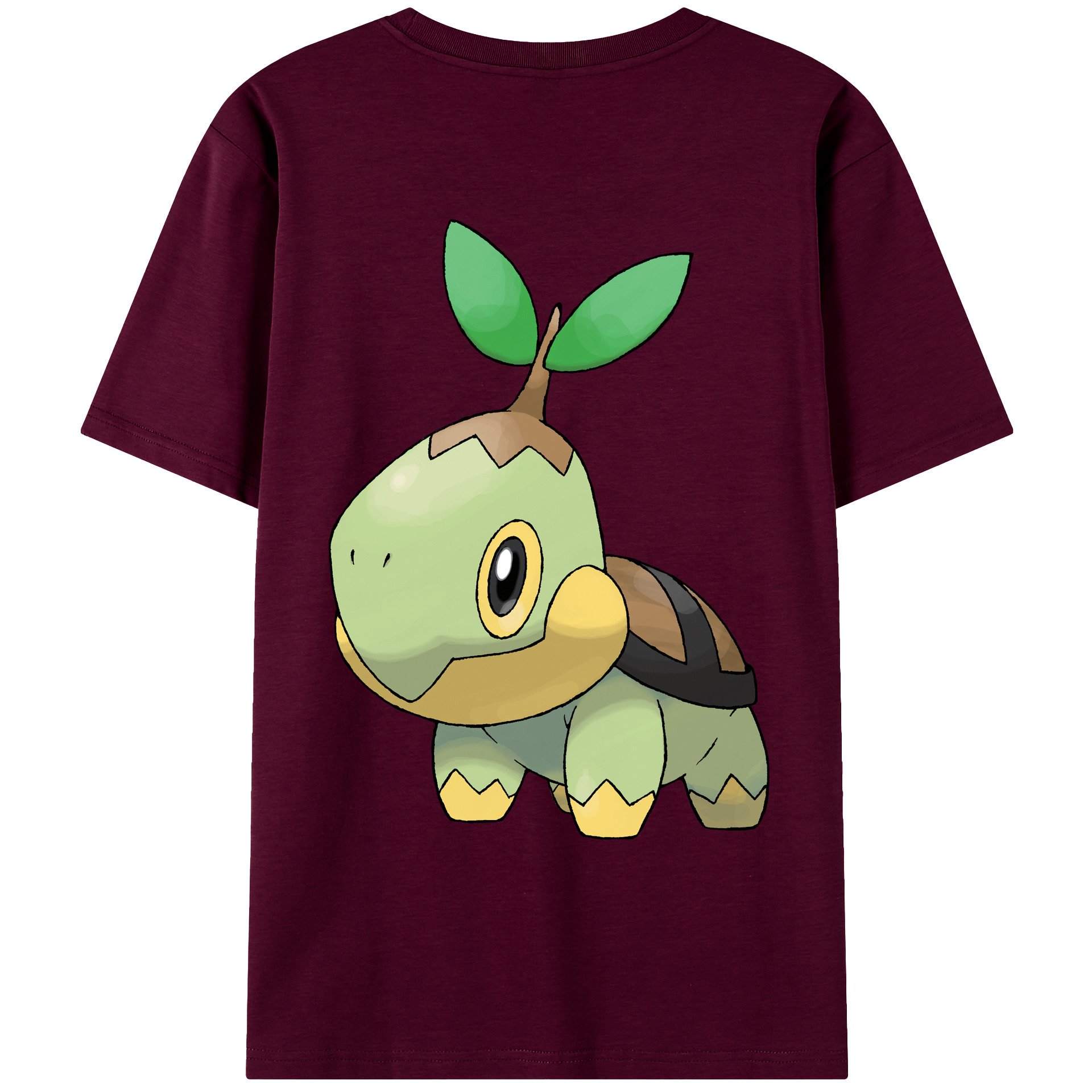（画像用） ポケットモンスター Pokémon レディース半袖Tシャツ(バックプリント)